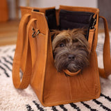 Clara Pet Carrier