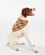 Festive Flannel Doggo Bandana