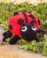 Loretta Ladybug