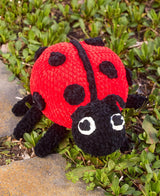 Loretta Ladybug