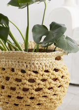 Sunshine Plant Cozy