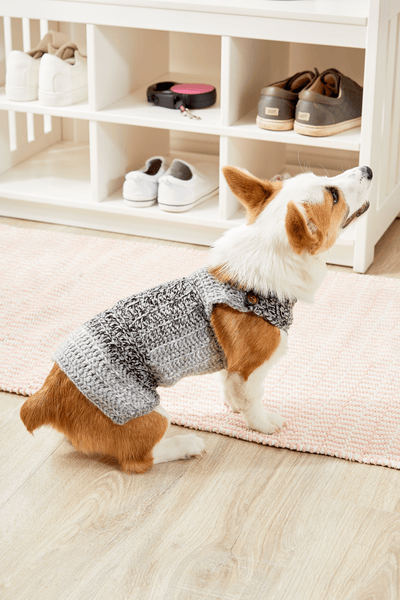 Dapper Dog Sweater