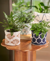 Patterned Plant Cozies