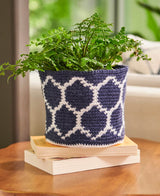 Patterned Plant Cozies