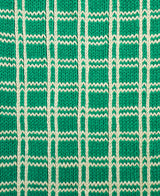 Plaid Dishtowels