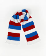 Team Spirit Striped Scarf