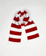 Team Spirit Striped Scarf
