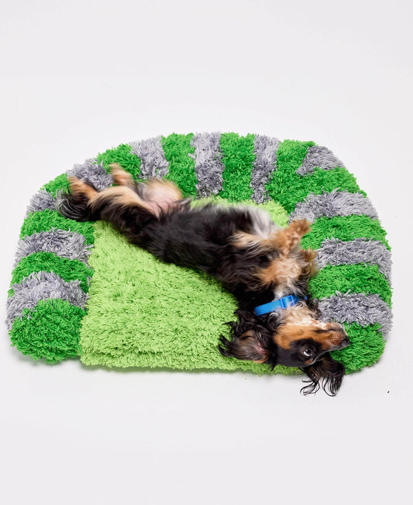 Pawsome Pet Bed