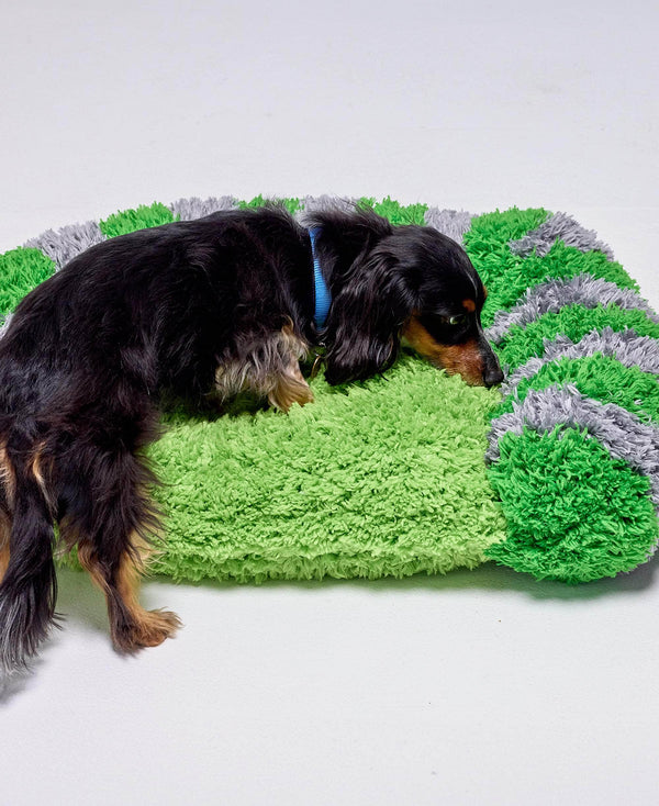 Pawsome Pet Bed