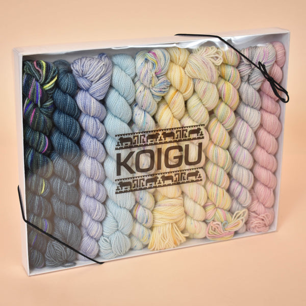 Koigu Pencil Box