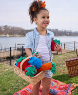 Crochet Picnic Plushies