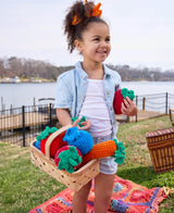 Crochet Picnic Plushies
