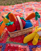Crochet Picnic Plushies