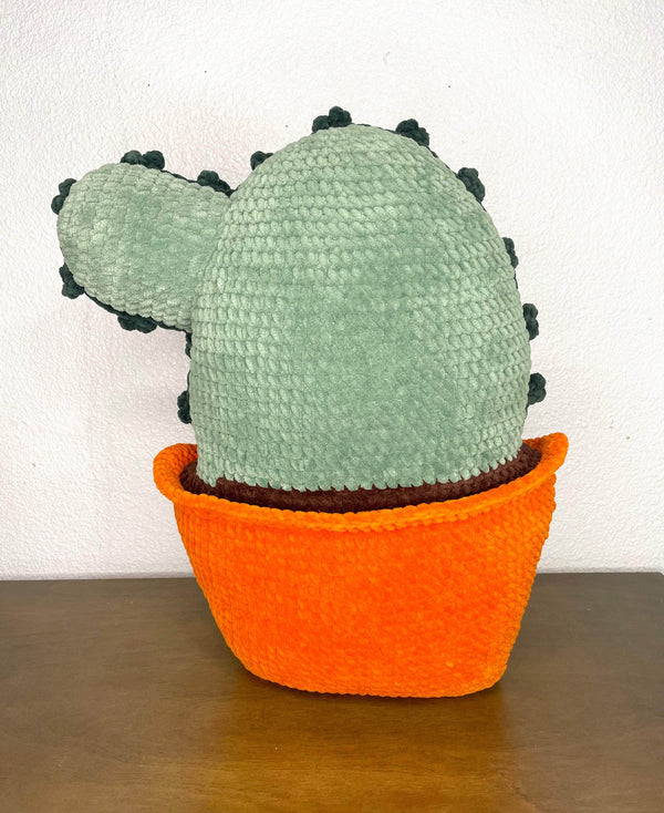Precious Prickly Cactus