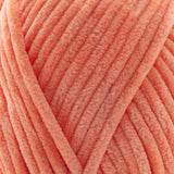 SG-04 Salmon