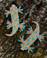 Sal the Salamander