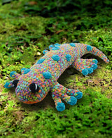 Sal the Salamander
