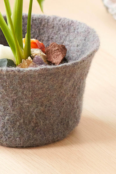 Felted Plant Cozy