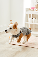 Dapper Dog Sweater