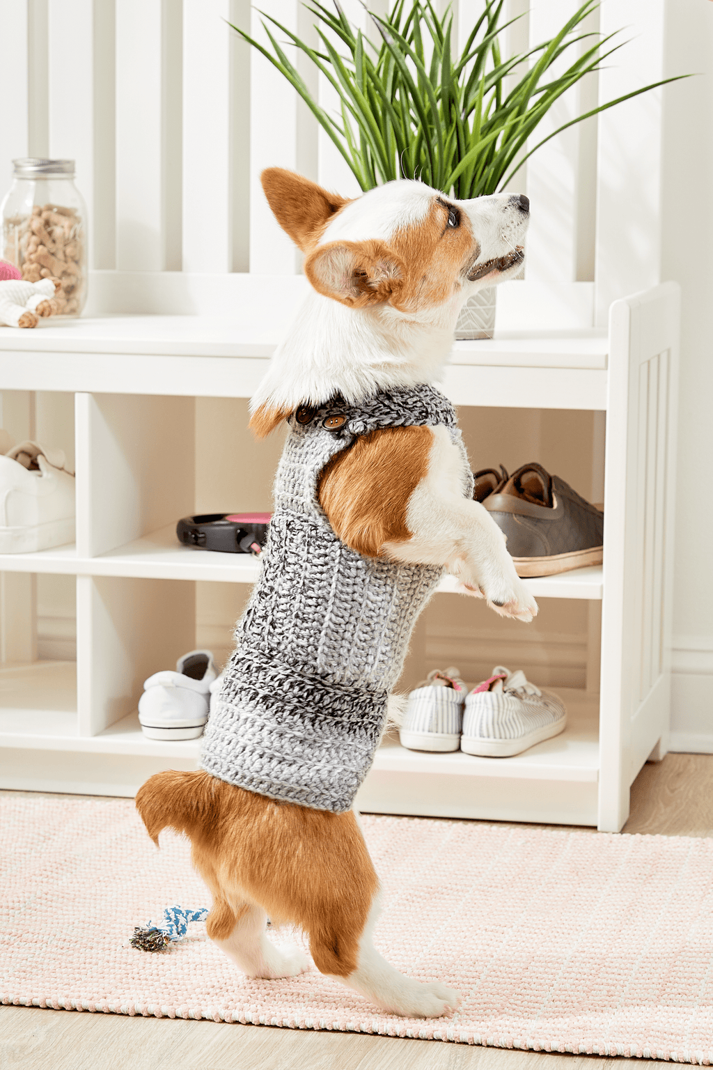 Dapper Sweeter Dapper Dog Sweater β Premier Yarns