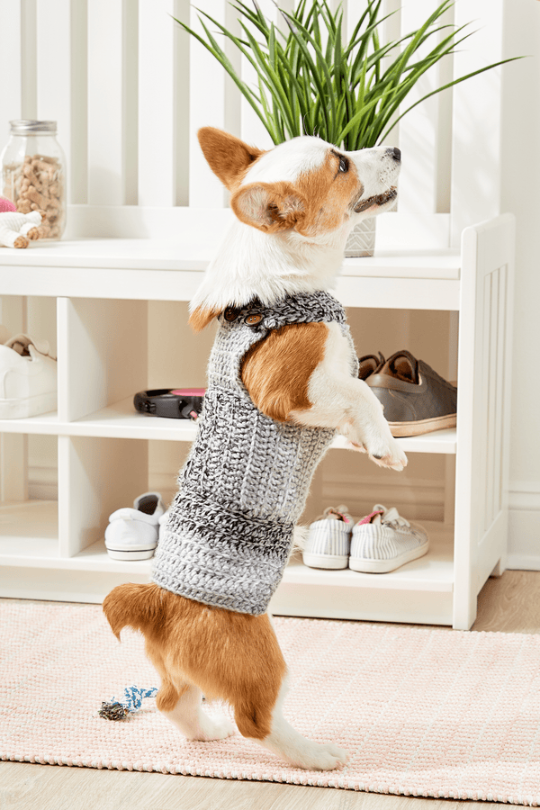 Dapper Dog Sweater