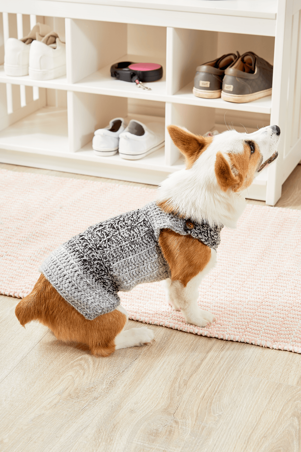 Dapper Dog Sweater Premier Yarns dapper-dog-sweater-premier-yarns